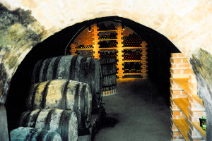 Presshaus und Weinkeller